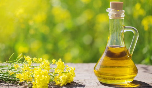 🧠 Why Are Omega-3s Essential for Your Body and How to Consume More Easily ?