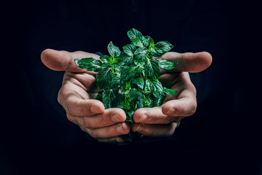 🌱 Responsible Eating: How to Combine Health and Environmental Respect ?