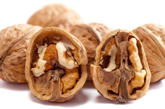 The Importance of Consuming a Source of Protein at Every Meal
